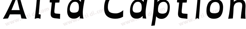 Alta Caption Version字体转换